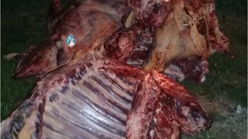 Secuestran carne vacuna en Paclín