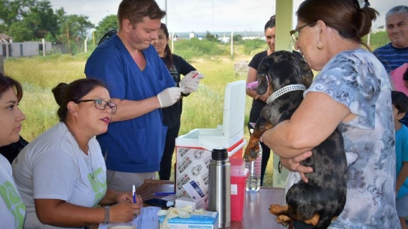 Zoonosis visita los barrios de la Capital