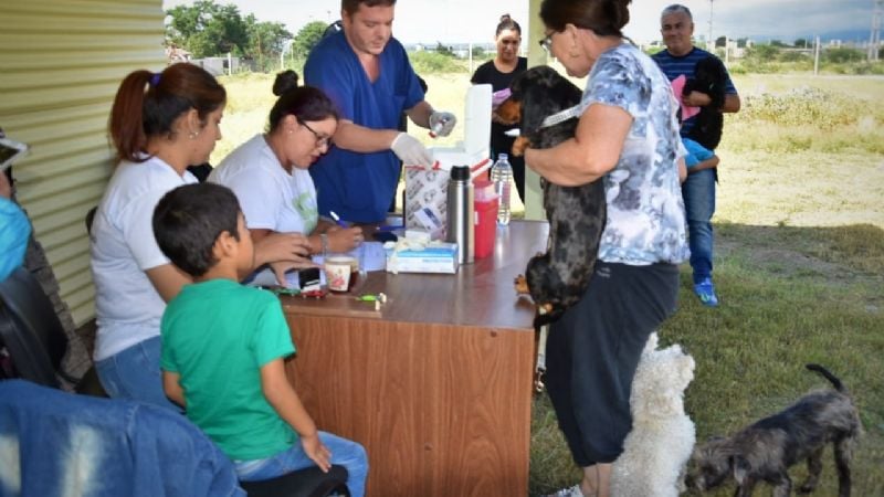 Zoonosis visita los barrios de la Capital