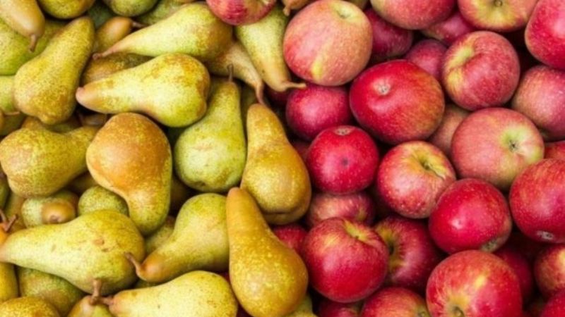 Brasil cerró el ingreso de peras y manzanas argentinas