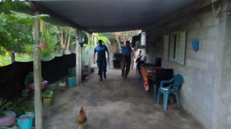 Rescatan a un puma americano que estaba en cautiverio