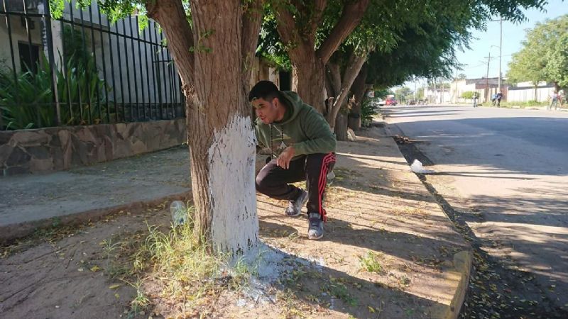 Trabajan para recuperar un histórico sector de Recreo