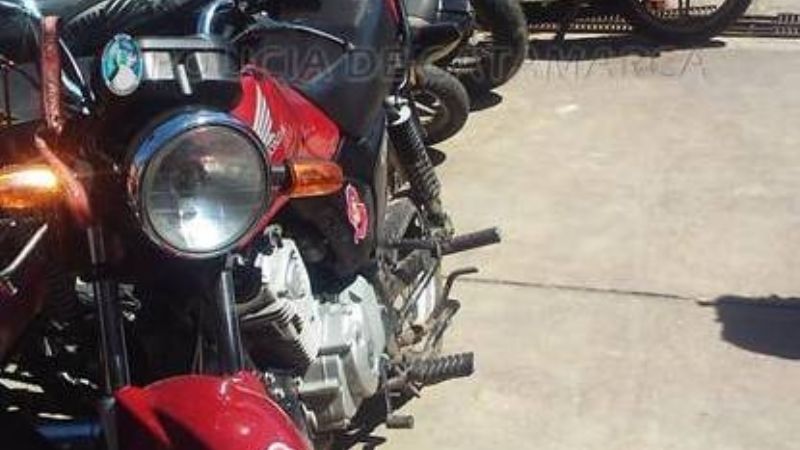 Importante operativo: Arrestan a 57 personas sin documento