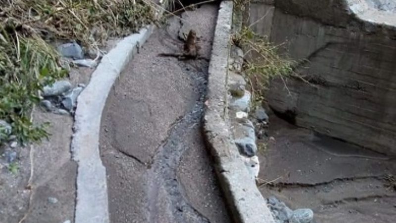 Trabajos para restablecer el servicio de agua