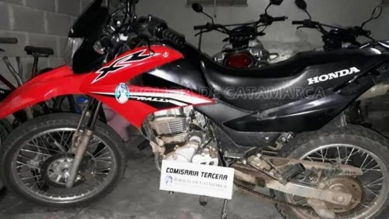 Aprehendidos en distintos procedimientos