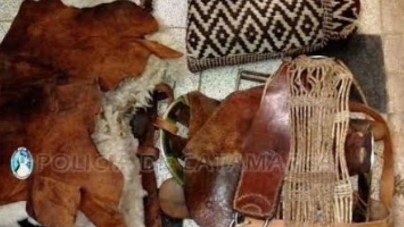 Recuperan una montura completa sustraída en Belén