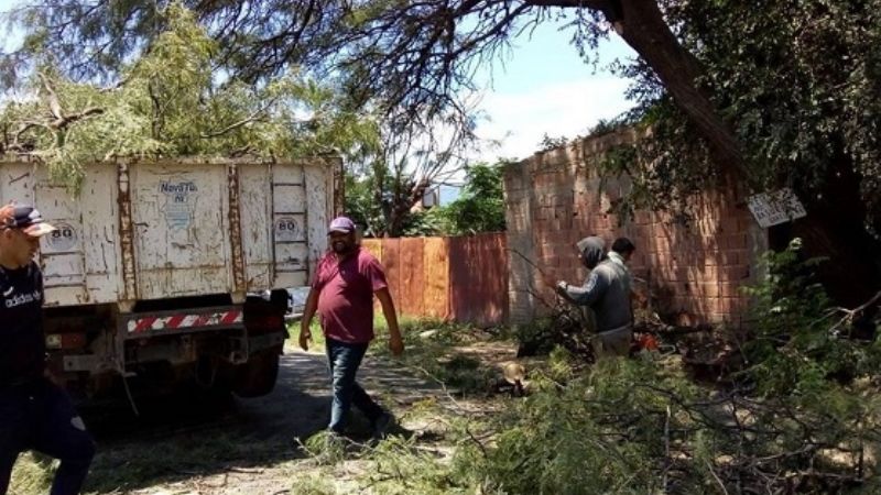 Malestar de vecinos en Valle Viejo, por poda de árboles