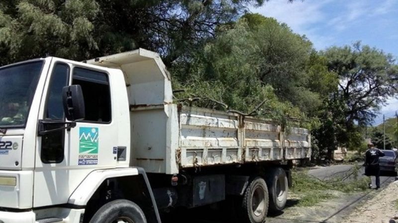 Malestar de vecinos en Valle Viejo, por poda de árboles