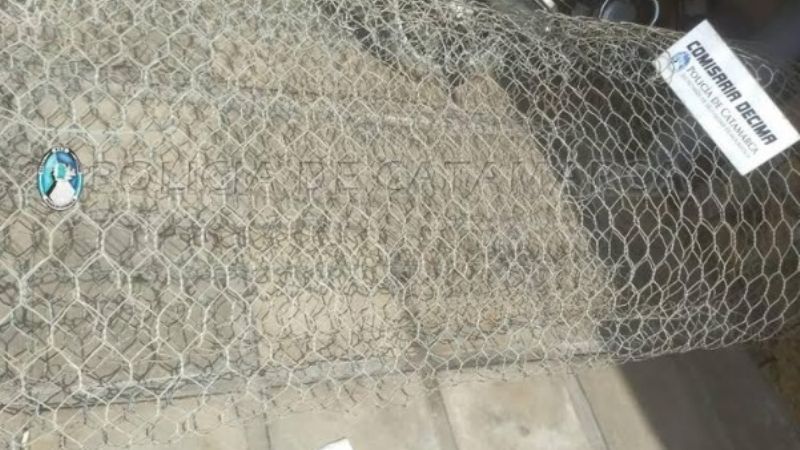 Secuestran una zaranda olímpica