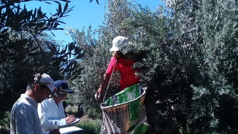 RENATRE realizó operativos inspectivos y de fiscalización en Catamarca