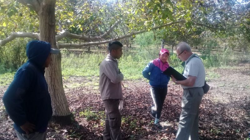 Siguen los operativos inspectivos y de fiscalización del RENATRE