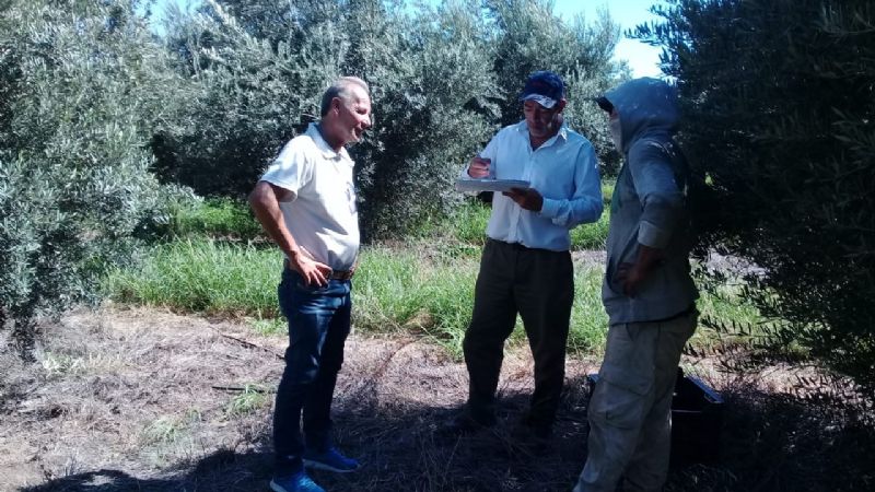 Siguen los operativos inspectivos y de fiscalización del RENATRE