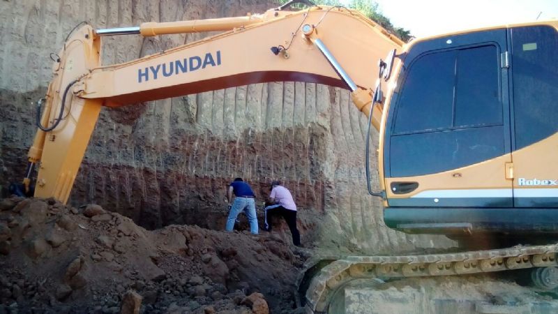 Descubren un oso gigante de 700 mil años de antigüedad en San Pedro