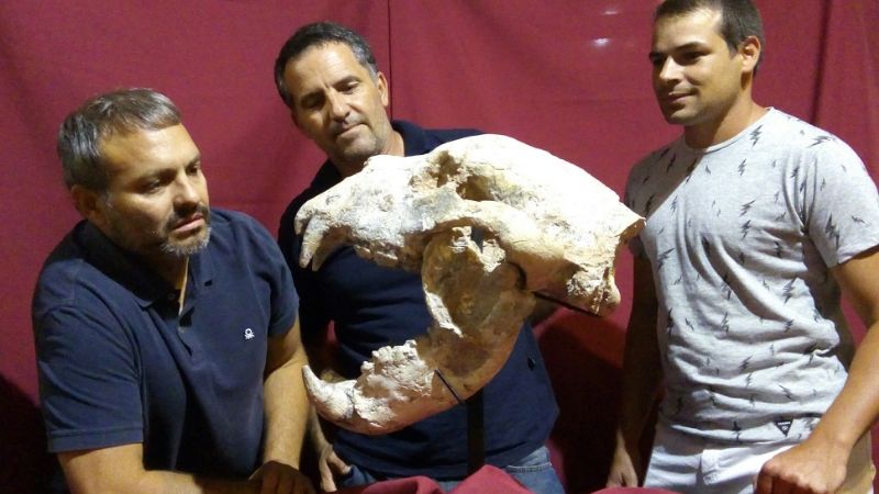 Descubren un oso gigante de 700 mil años de antigüedad en San Pedro