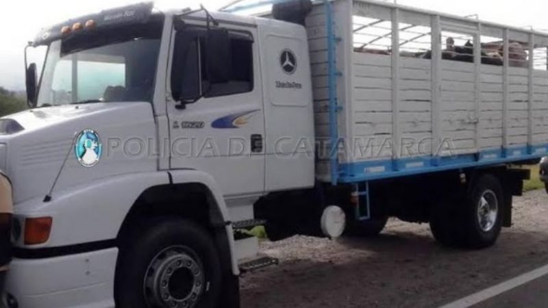 Secuestran un camión que llevaba animales sin la guía