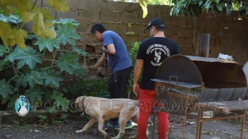 Detienen a un sujeto con 3000 dosis de marihuana