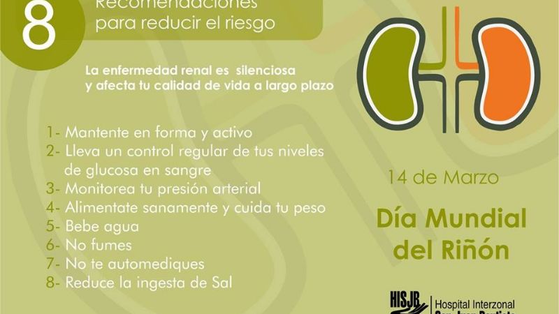14 de marzo: Día Mundial del Riñón