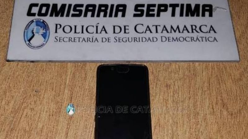 Un niño robó un celular adaptado para personas ciegas