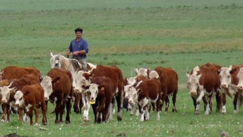 Peones rurales, con un aumento del 16% a partir de febrero