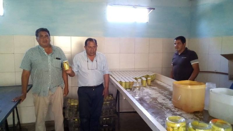 Promueven la producción de hortalizas