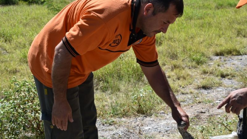 Restituyen a su hábitat a una lampalagua