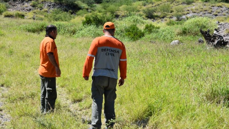 Restituyen a su hábitat a una lampalagua