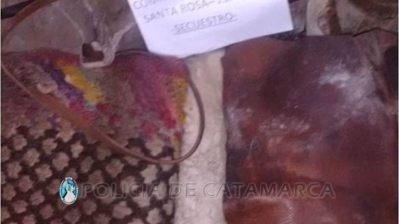 Robó una montura y la escondió en el campo