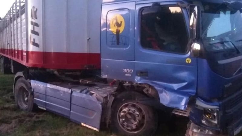 Nueve muertos en un accidente en Carmen de Areco