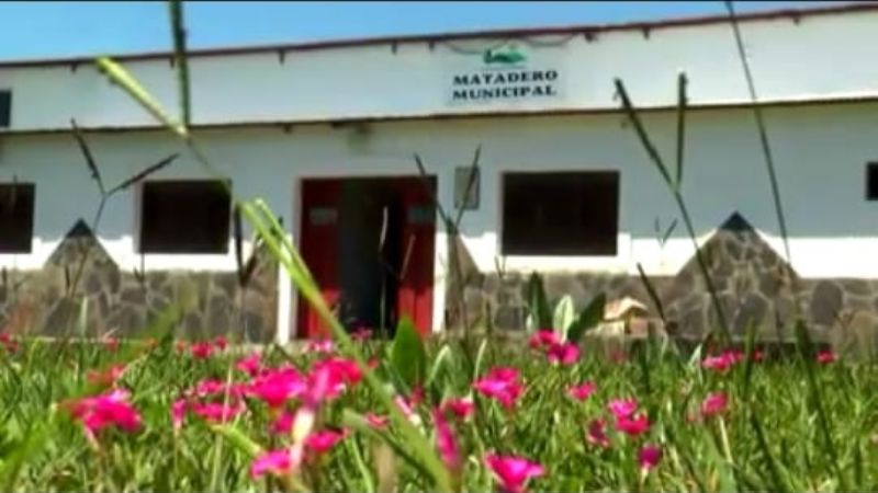 Obra de refuncionalización del matadero municipal de El Alto