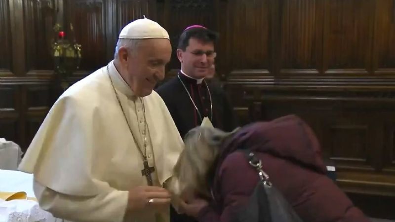 El Papa negándose que le besen la mano se hace viral