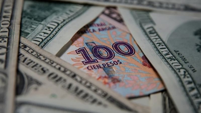 El dólar alcanzó un nuevo récord de $43,60 y el euro superó por primera vez los $50