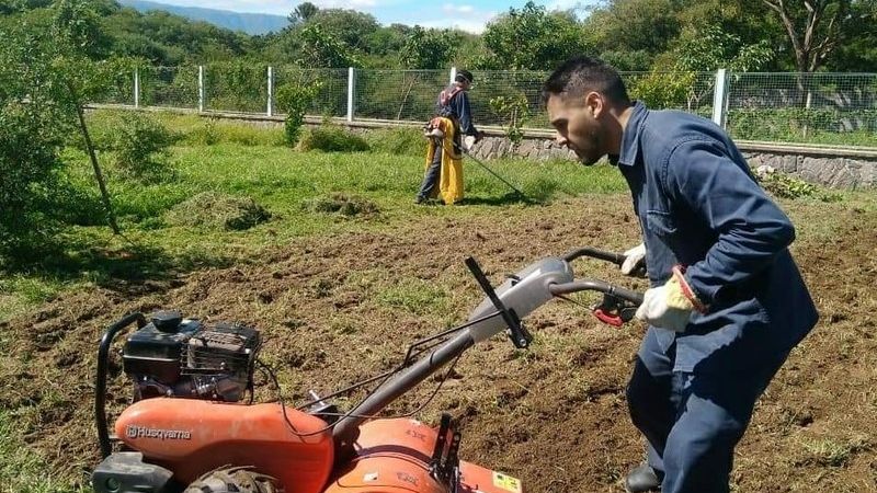 Huerta agroecológica en el Hospital de Villa Dolores
