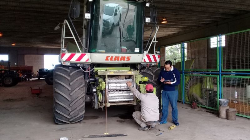 De 72 cosecheros nogaleros, 47 están “en negro”
