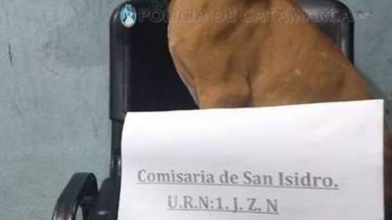 Secuestran un perro de raza robado en Valle Viejo