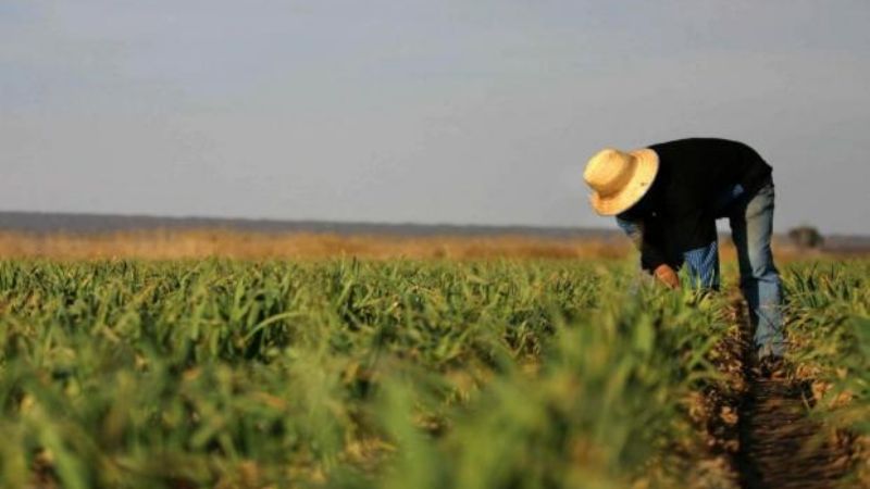 Aclaración de la UATRE sobre el bono para trabajadores rurales