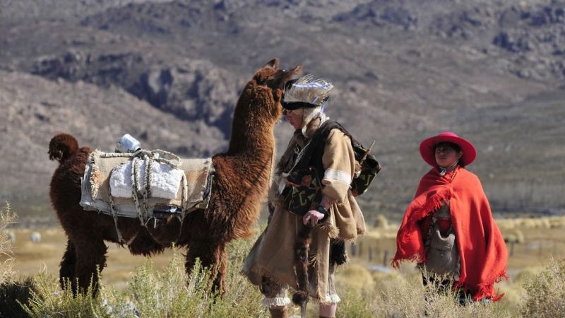 Segundo Encuentro Ganadero en Barranca Larga