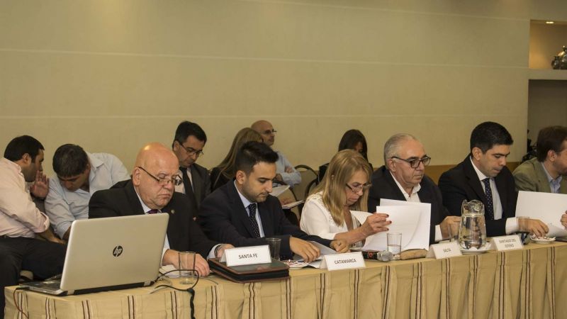 Rosales presente en la primera reunión del año del COFEMA