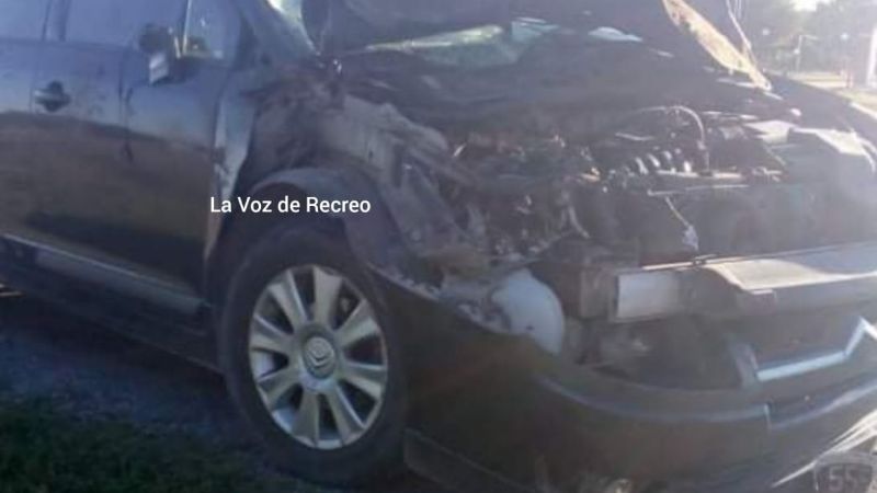 Accidente en la ruta 157, otra vez por animales sueltos