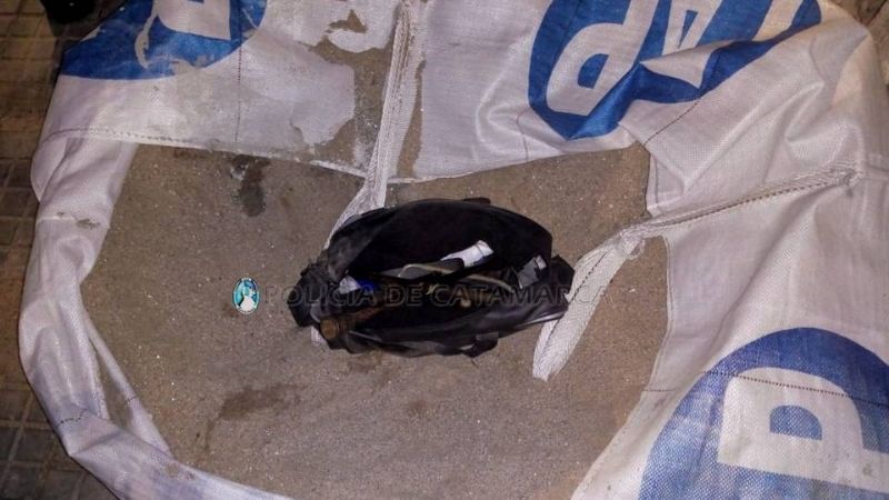 Le robaron el gato, una llave y un bolso del auto