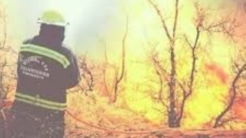 Incendio de pastizales en Tinogasta