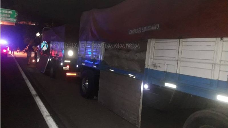 Secuestran 17 mil kilos de papas durante un control vehicular