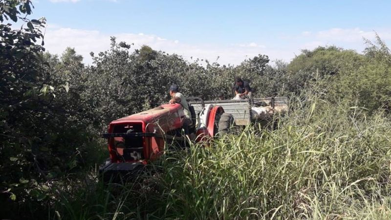 Mejoró el valor del membrillo