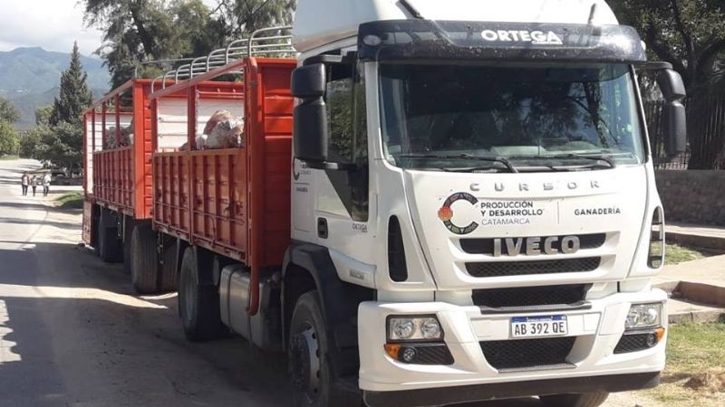 Mejoró el valor del membrillo