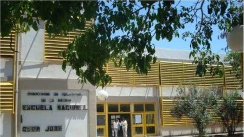 Problemas edilicios, palomas y murciélagos en una escuela