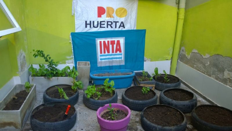 El Jardín Maternal tiene su propia huerta urbana