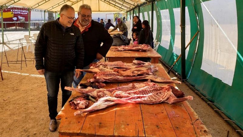 Solá Jais en el II Encuentro Ganadero en Barranca Larga