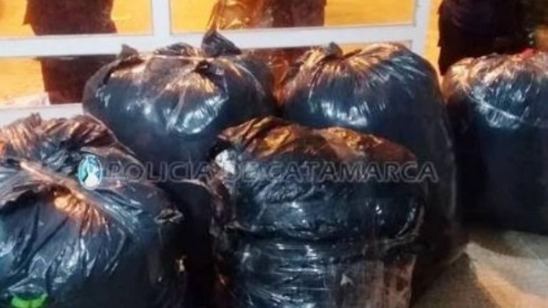 Secuestran mercadería ilegal valuada en $500.000