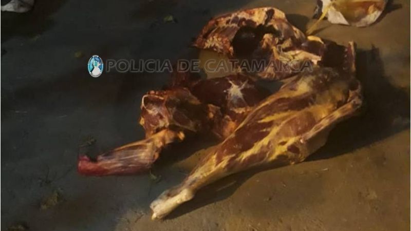 Decomisan carne vacuna en un puesto caminero de Capayán