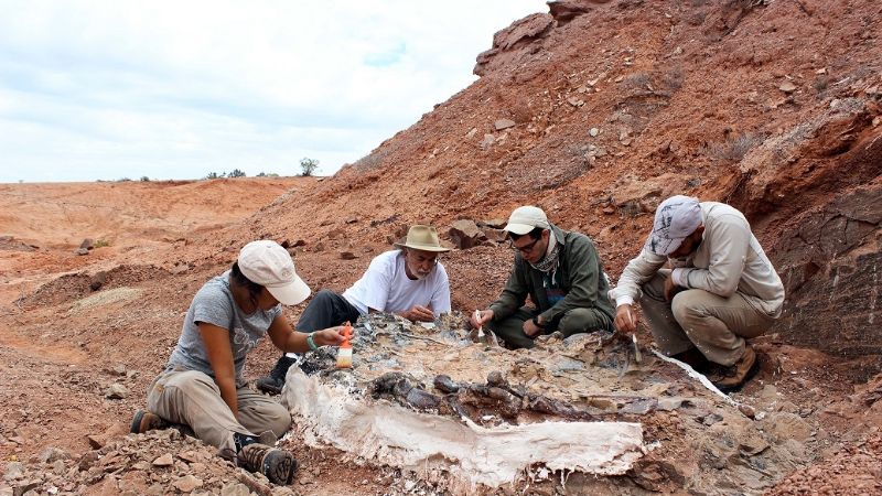 Descubren un extraordinario cementerio de animales de 220 millones de años