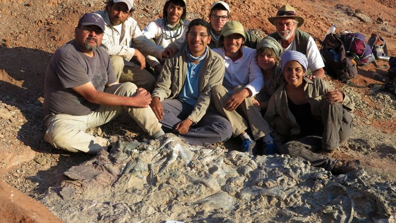 Descubren un extraordinario cementerio de animales de 220 millones de años